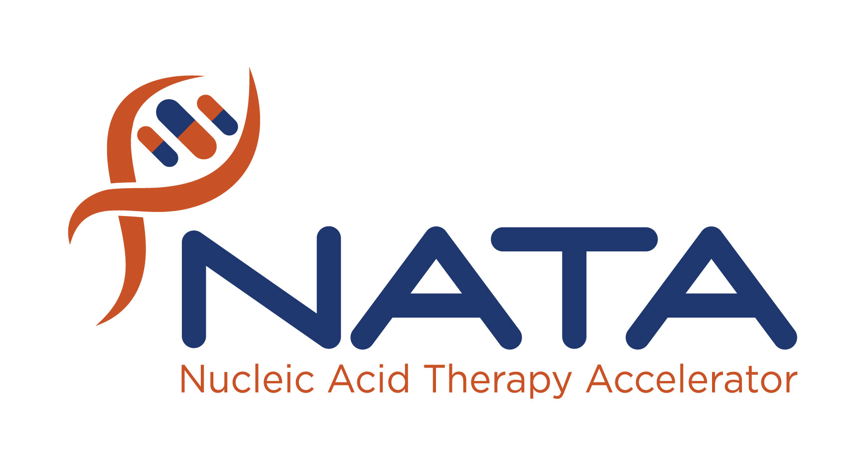 Nucleic Acid Therapy Accelerator