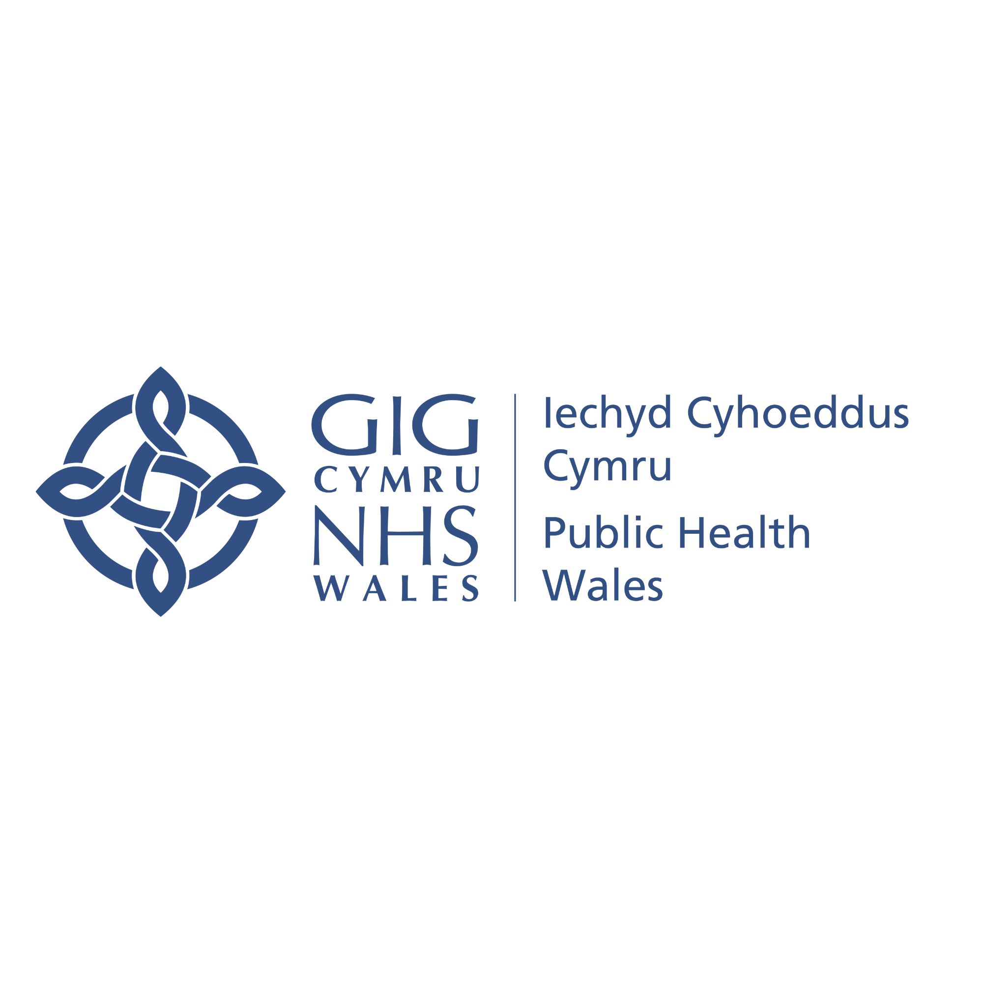 The All Wales Medicines Strategy Group (AWMSG)