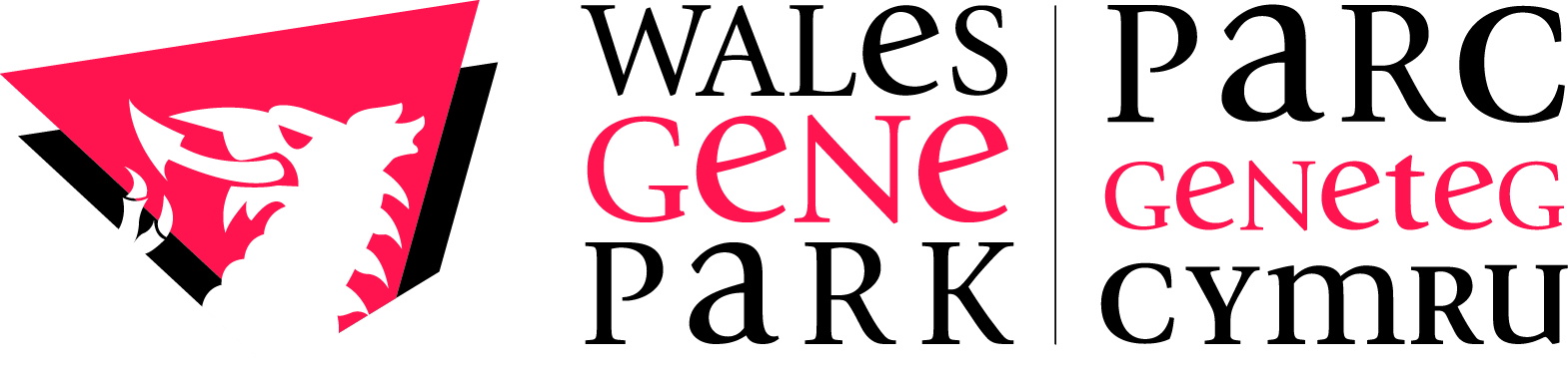 Rare Disease Patient Network – Wales Gene Park